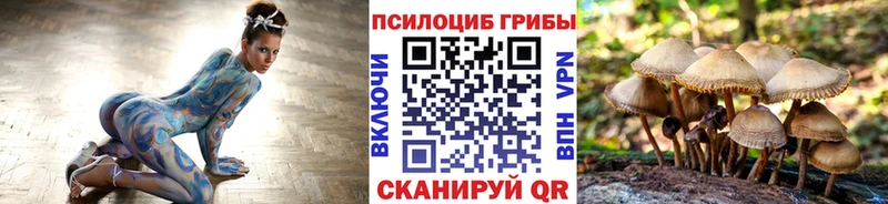 Псилоцибиновые грибы мухоморы  купить наркотики цена  Фёдоровский 